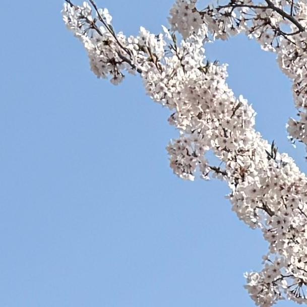 2025년 국제통상학과 졸업사진 촬영 대표이미지